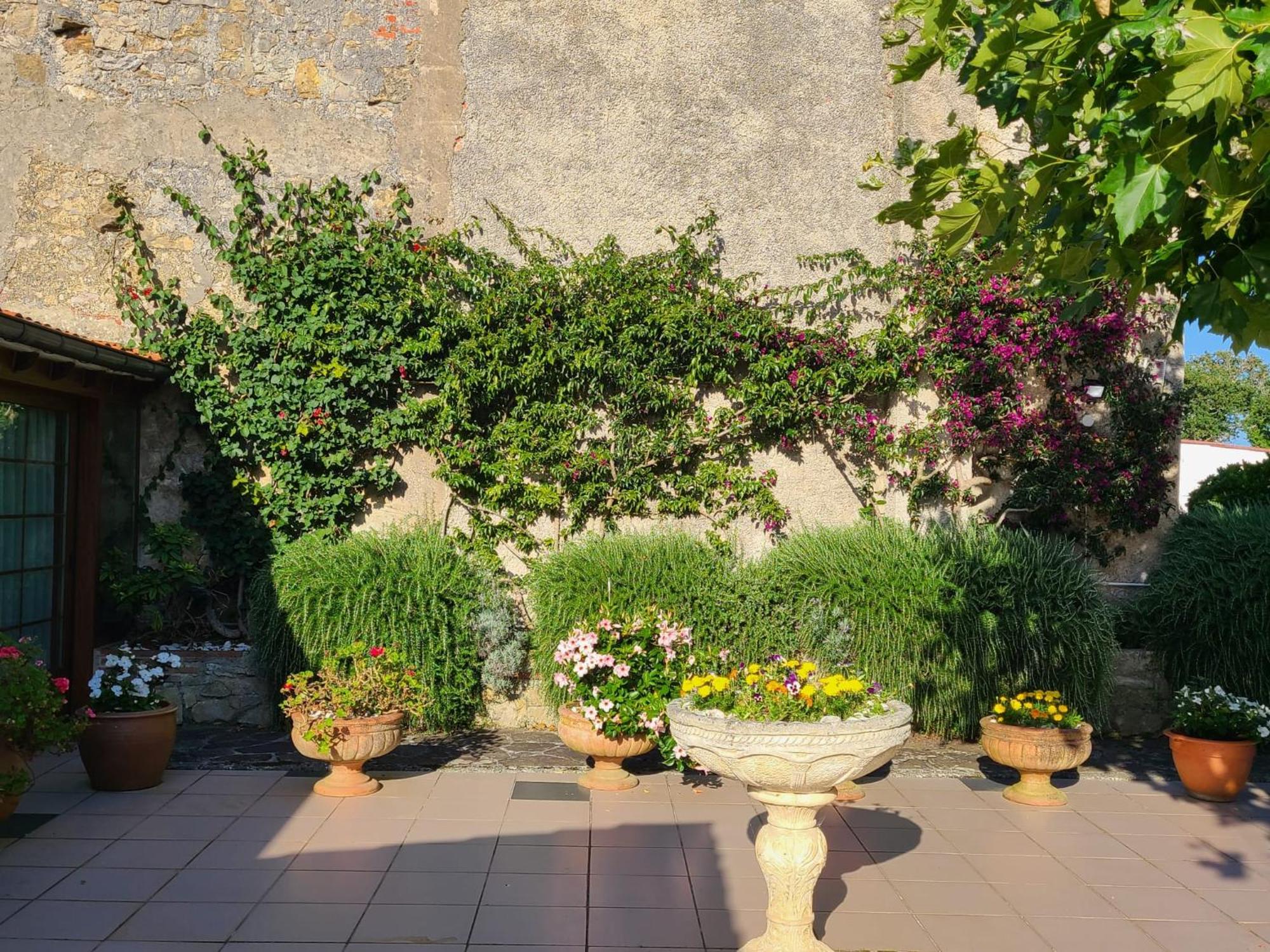 La Casona De Picoverde Cóbreces エクステリア 写真